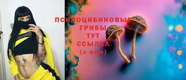 прущие грибы Ветлуга