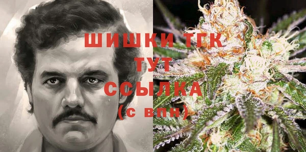 бошки Сясьстрой
