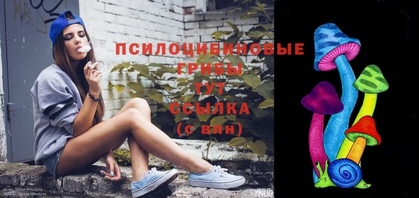 PSILOCYBIN Весьегонск