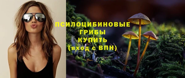 прущие грибы Ветлуга